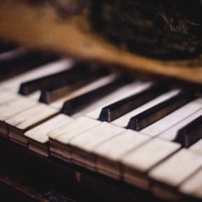 he brings music to elephants